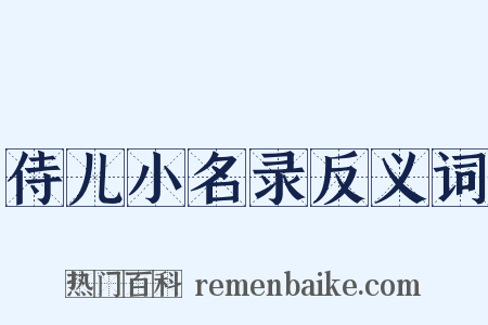 侍儿小名录反义词是什么意思的图片